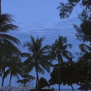 AlanahRae床战黑人
